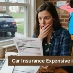 why is car insurance so expensive in michigan